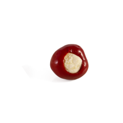 Piquante Rojo de Camembert Kg.